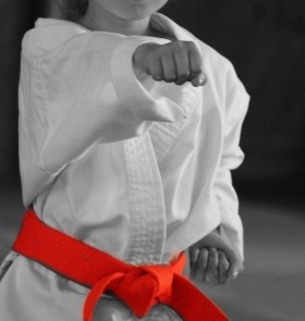  - SHINDOKAI