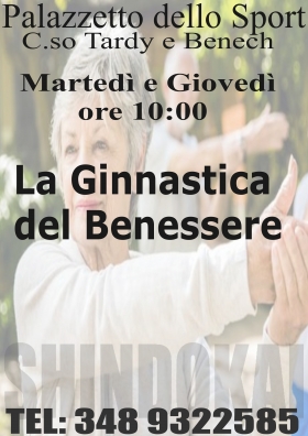 Ginnastica del Benessere - SHINDOKAI 